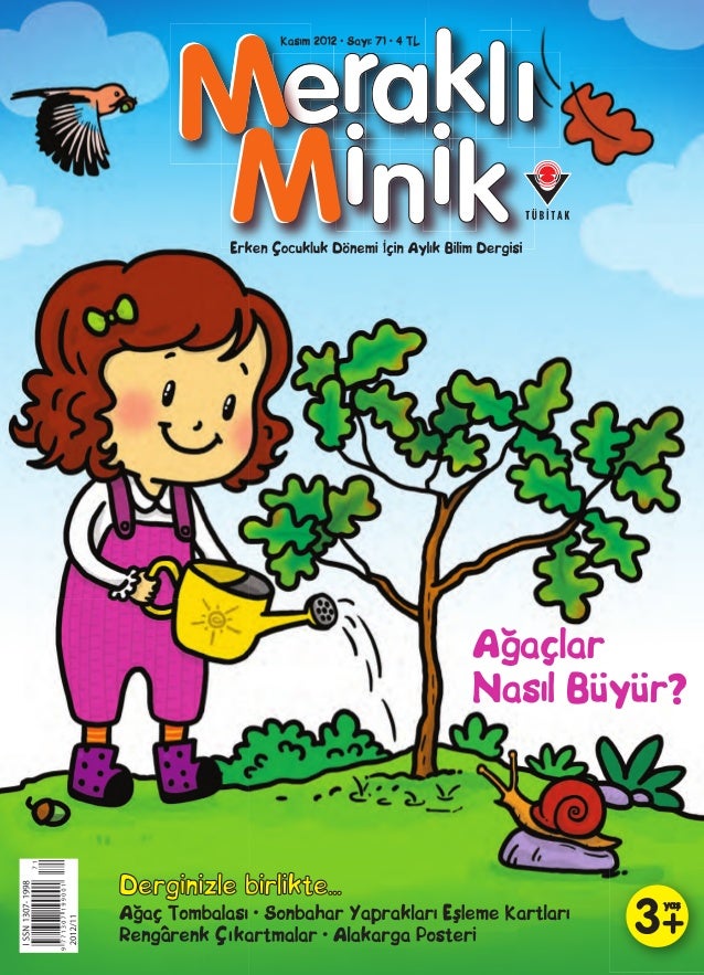 Ağaçlar Nasıl Büyür Ağaçlar Nasıl Büyür